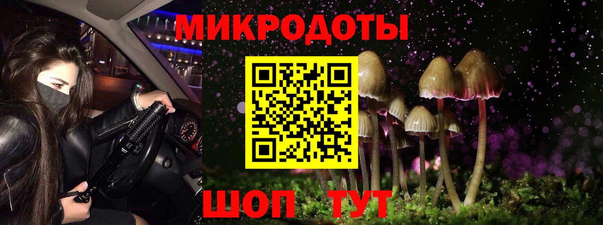 Галлюциногенные грибы GOLDEN TEACHER Нижнеудинск