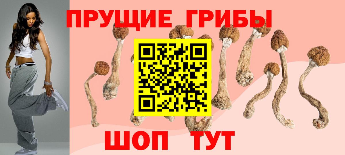 Нижнеудинск  Псилоцибиновые грибы прущие грибы  Вход с VPN 